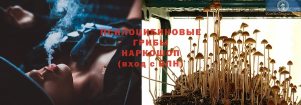 а пвп мука Армянск