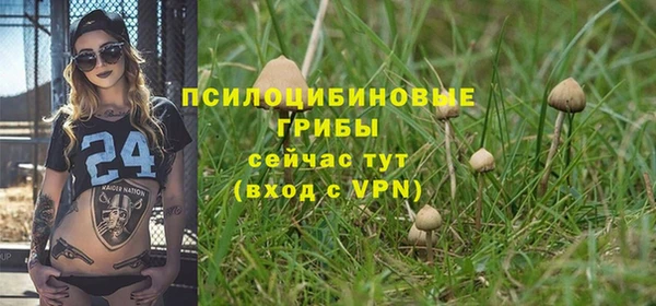 дживик Арсеньев