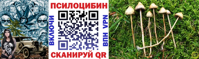 Псилоцибиновые грибы Magic Shrooms  Шумиха 